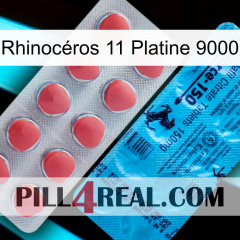 Rhinocéros 11 Platine 9000 new14